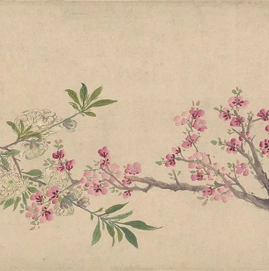 周之冕花卉画《百花图卷》_50