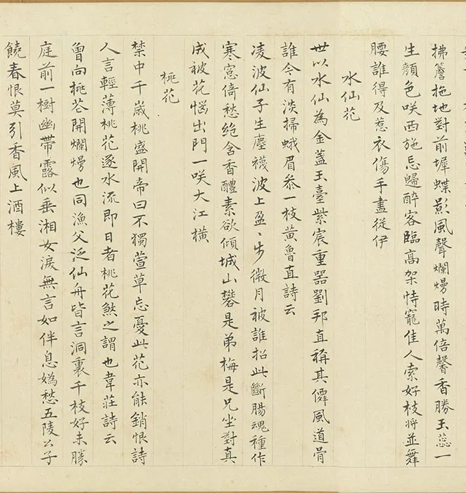 周之冕画花卉卷_04