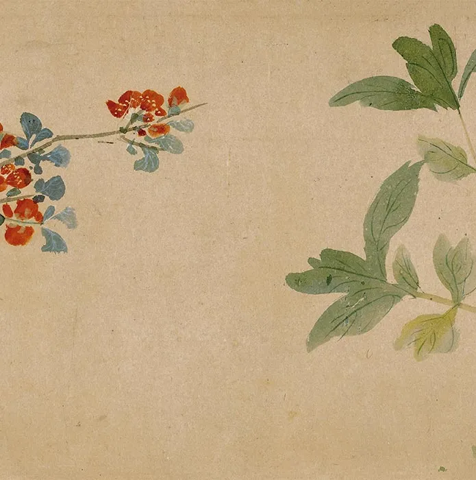 周之冕花卉画《群英吐秀图》卷_18