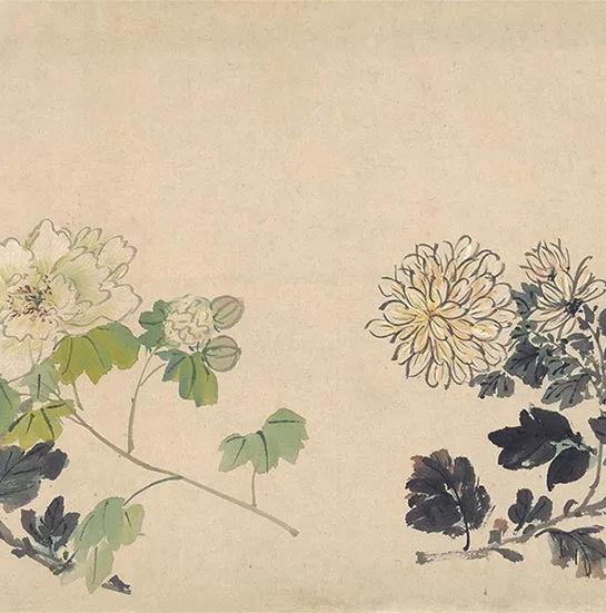 周之冕花卉画《百花图卷》_16