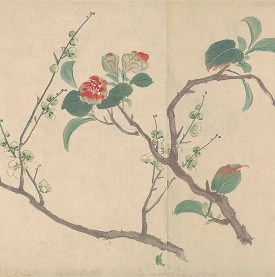 周之冕花卉画《百花图卷》_04
