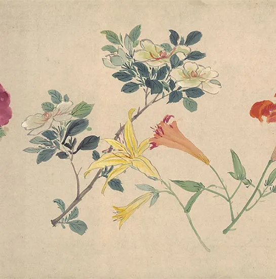 周之冕花卉画《百花图卷》_32
