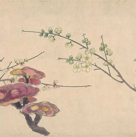 周之冕花卉画《百花图卷》_03