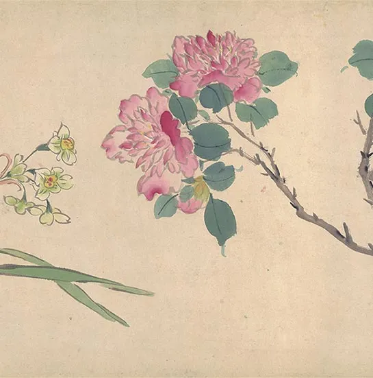 周之冕花卉画《百花图卷》_08