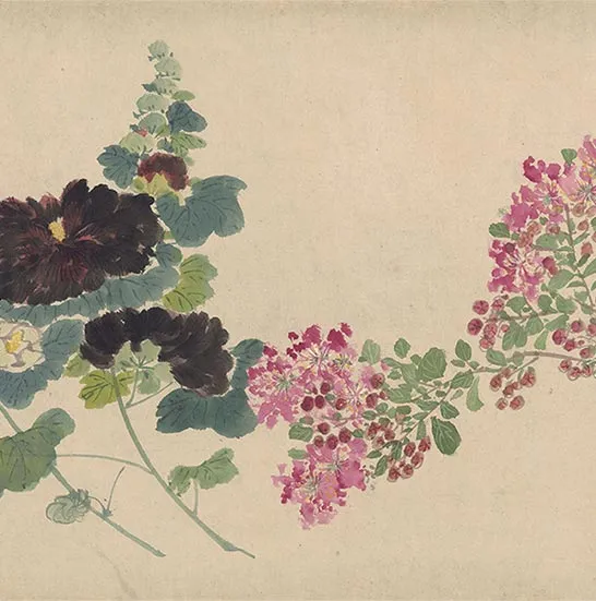 周之冕花卉画《百花图卷》_34