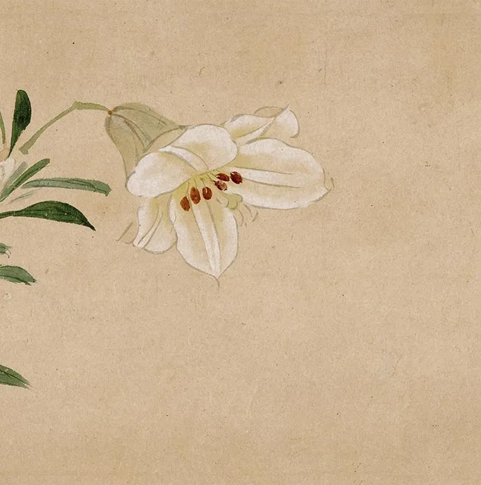 周之冕花卉画《群英吐秀图》卷_09
