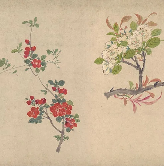 周之冕花卉画《百花图卷》_52