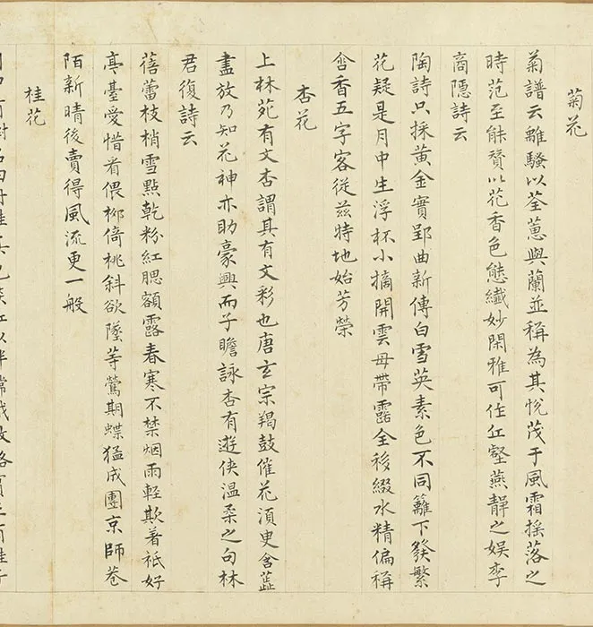 周之冕画花卉卷_03