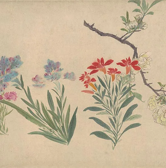 周之冕花卉画《百花图卷》_49