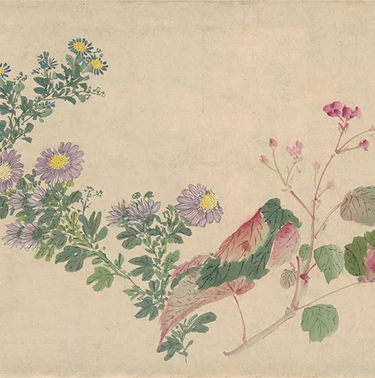 周之冕花卉画《百花图卷》_25