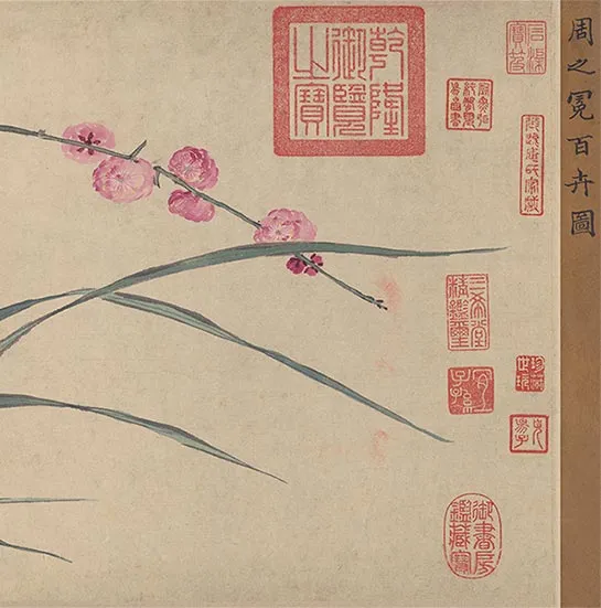 周之冕花卉画《百花图卷》_55