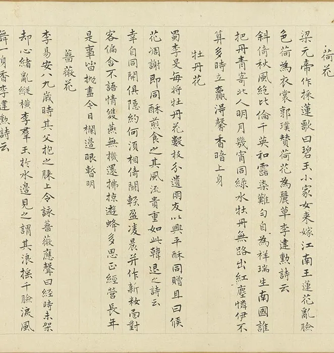 周之冕画花卉卷_05