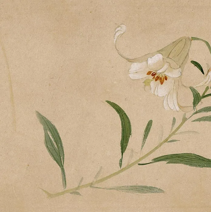 周之冕花卉画《群英吐秀图》卷_08