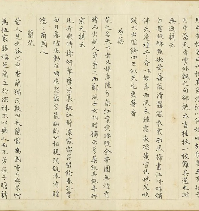 周之冕画花卉卷_02