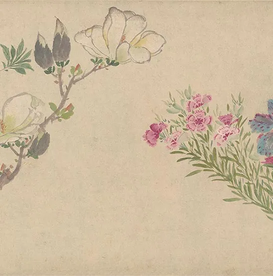 周之冕花卉画《百花图卷》_48