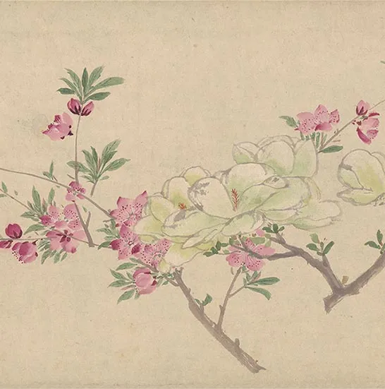 周之冕花卉画《百花图卷》_47
