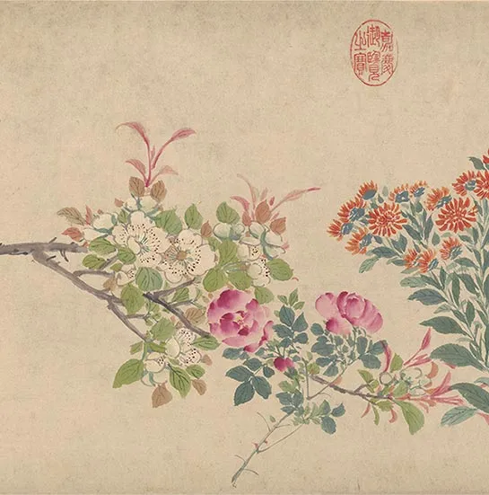 周之冕花卉画《百花图卷》_53