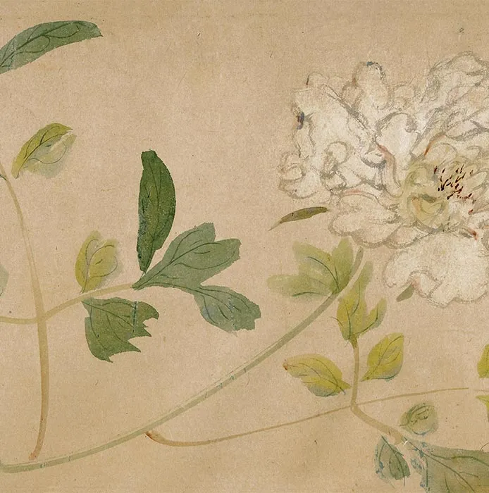 周之冕花卉画《群英吐秀图》卷_19
