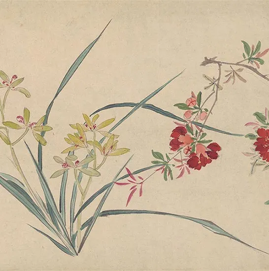 周之冕花卉画《百花图卷》_36