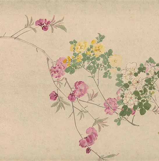 周之冕花卉画《百花图卷》_43