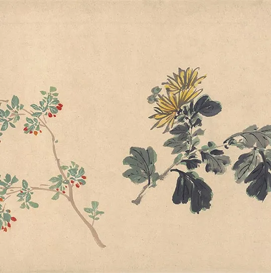 周之冕花卉画《百花图卷》_12
