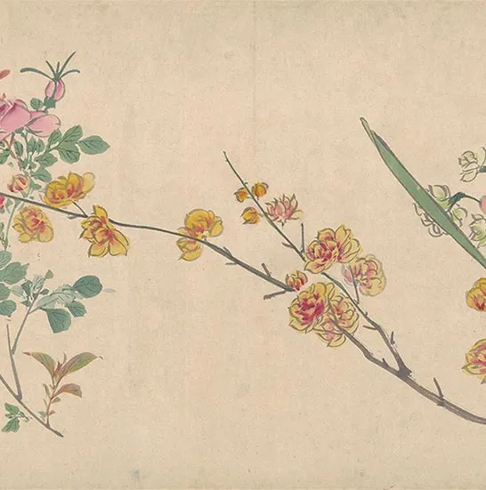 周之冕花卉画《百花图卷》_06