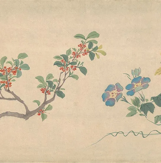 周之冕花卉画《百花图卷》_19