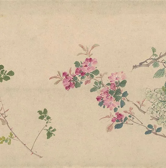 周之冕花卉画《百花图卷》_44
