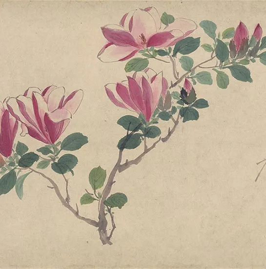 周之冕花卉画《百花图卷》_39