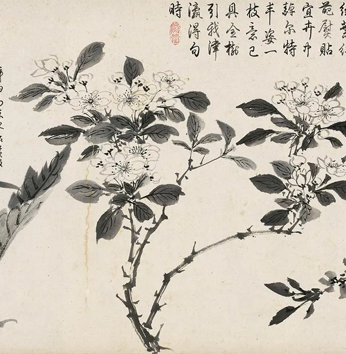 周之冕水墨百花图卷_17