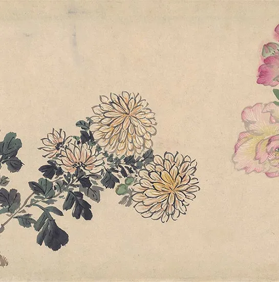 周之冕花卉画《百花图卷》_17