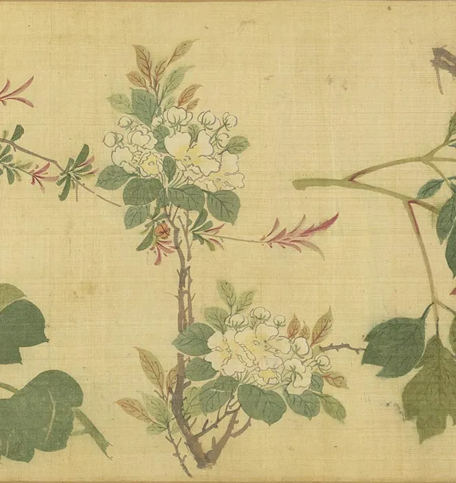周之冕画花卉卷_12