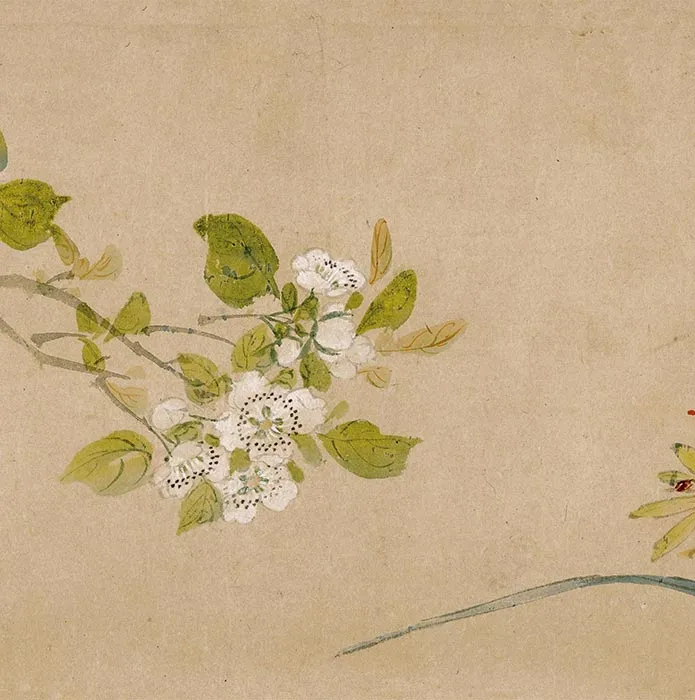 周之冕花卉画《群英吐秀图》卷_14
