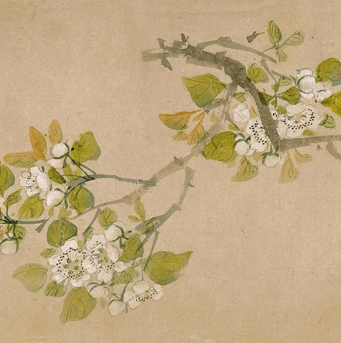 周之冕花卉画《群英吐秀图》卷_13