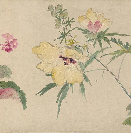 周之冕花卉画《百花图卷》_26