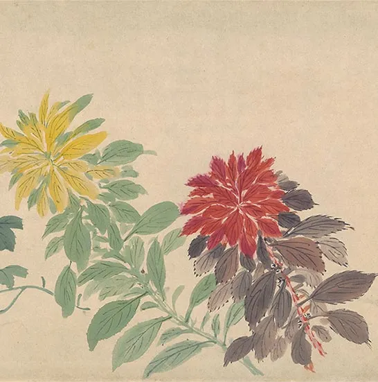 周之冕花卉画《百花图卷》_20