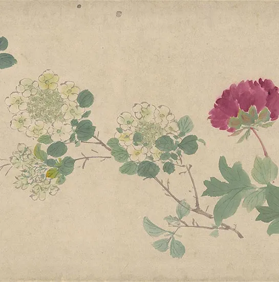 周之冕花卉画《百花图卷》_40