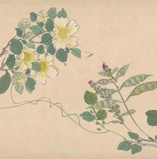 周之冕花卉画《百花图卷》_10