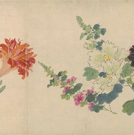 周之冕花卉画《百花图卷》_33