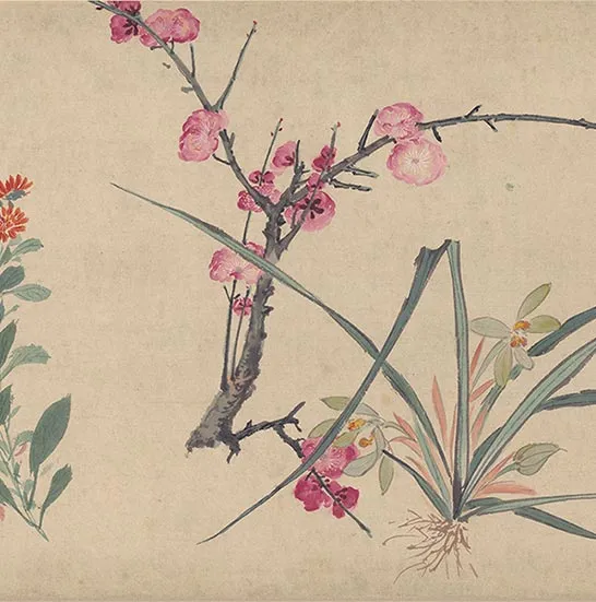 周之冕花卉画《百花图卷》_54