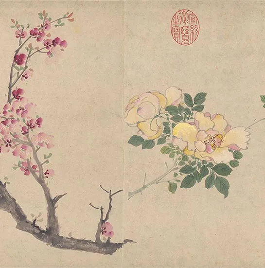 周之冕花卉画《百花图卷》_51