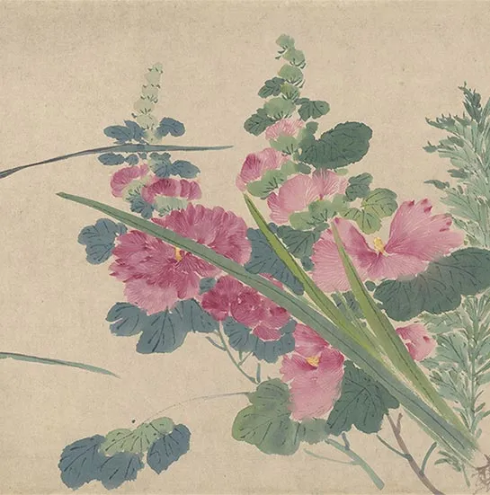周之冕花卉画《百花图卷》_30