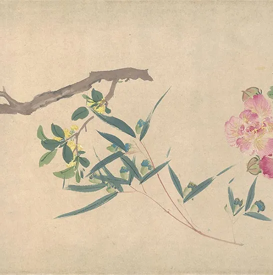 周之冕花卉画《百花图卷》_22