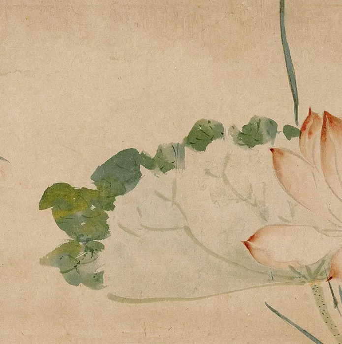 周之冕花卉画《群英吐秀图》卷_06