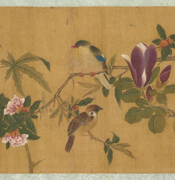 周之冕花鸟画《长春图》卷_06