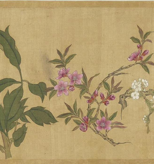 明周之冕花卉卷_13