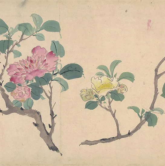 周之冕花卉画《百花图卷》_09