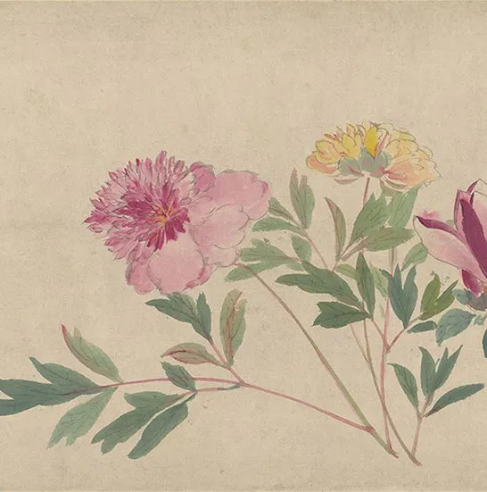 周之冕花卉画《百花图卷》_38