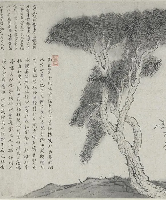 石涛自写种松图小照卷_11
