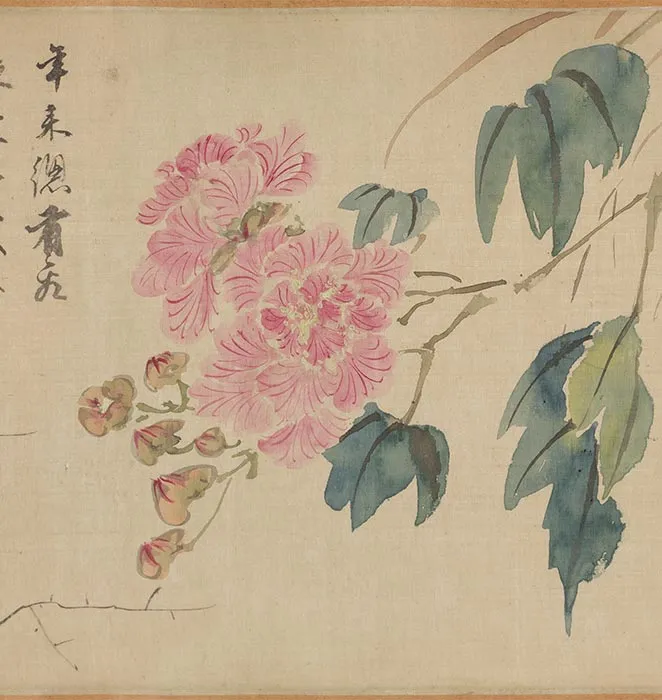 王穀祥四季花卉图卷_09
